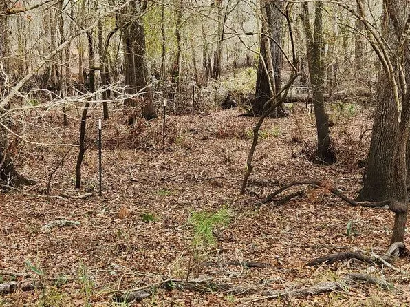 0 SE River Dr, Branford, FL 32008