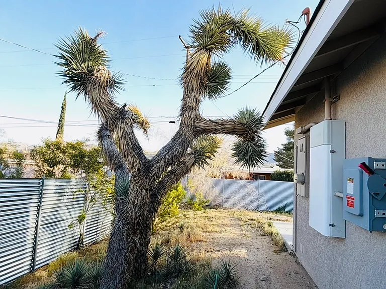 61929 Petunia Dr — Photo 12