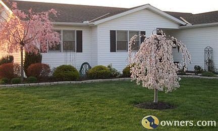 flowering trees 2012