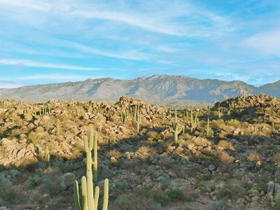 1455 W Tortolita Mountain Cir #278, Tucson, AZ, 85755