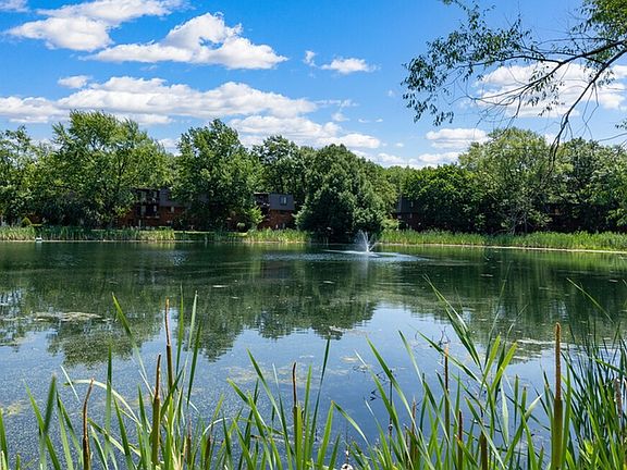 Pond