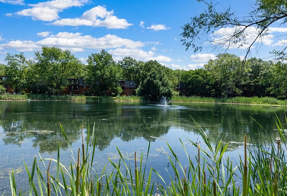 Pond