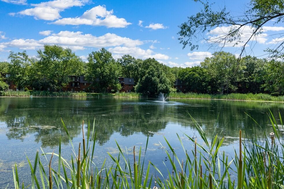 Pond