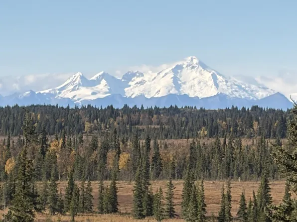 TRACT 20 Zeke St, Ninilchik, AK 99639