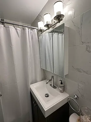 Rented by Eric Goodman Realty Corp | media 4