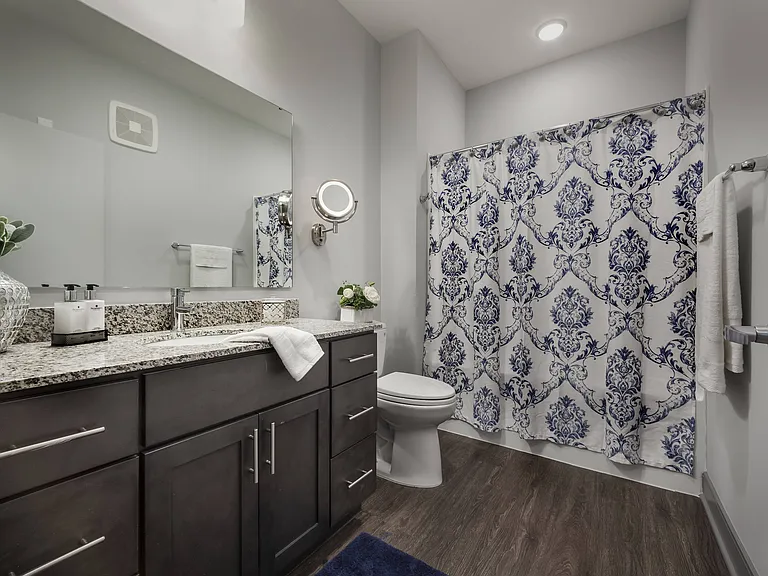 Addison Master Bathroom at The Ivy