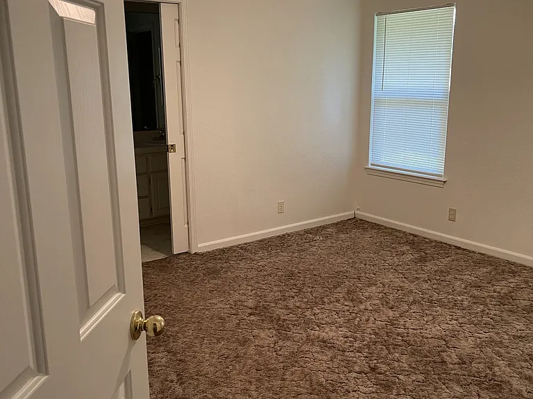 819 Black Walnut Way — Photo 10
