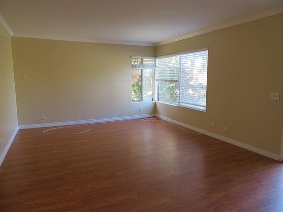 Large living room with treetop views