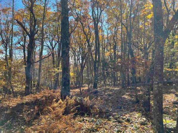 Sounding Knob Rd, Monterey, VA 24465