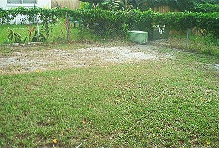 Large back yard