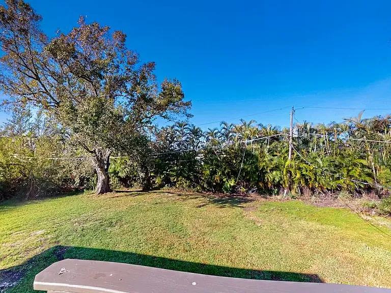 Large Backyard