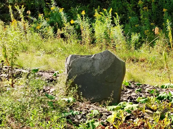 2592 County Highway 8 #35, Otego, NY 13825