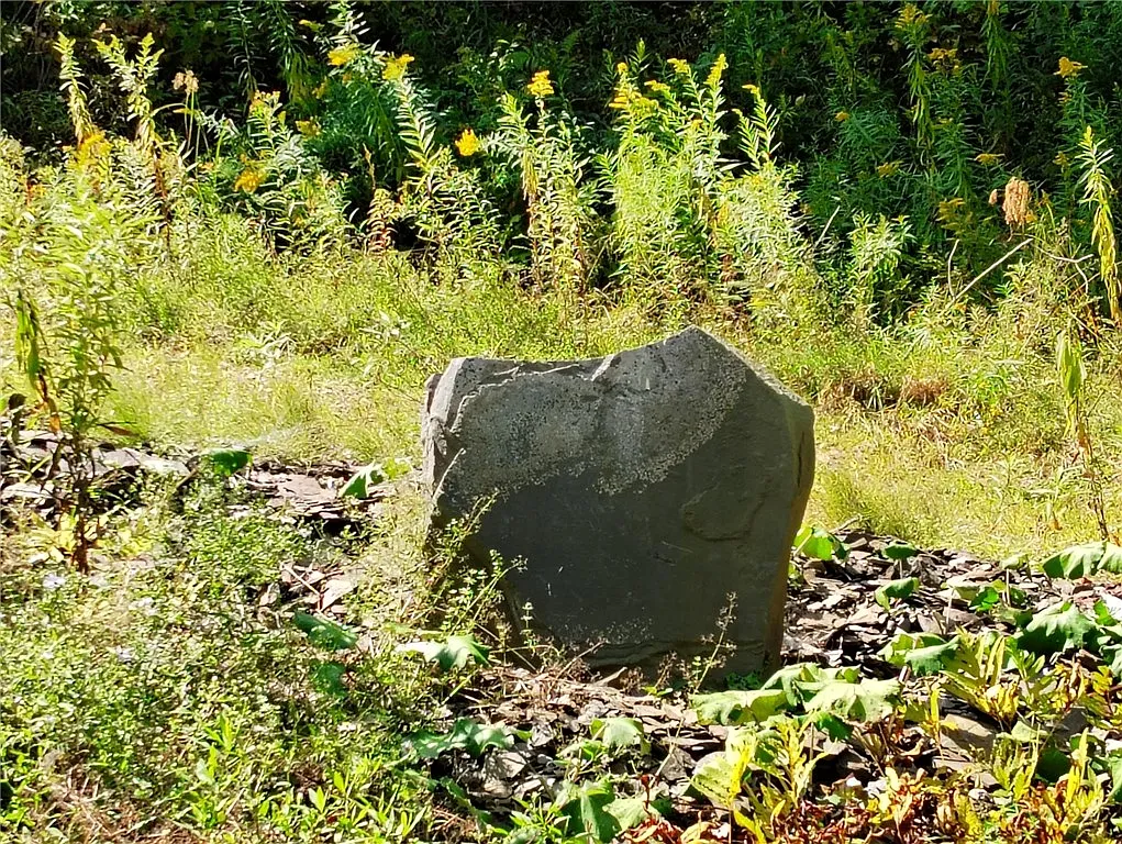 2592 County Highway 8 #35 photo 1