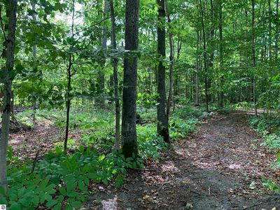 0 Keiser Rd, Levering, MI, 49755