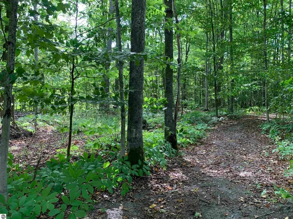 0 Keiser Rd, Levering, MI 49755