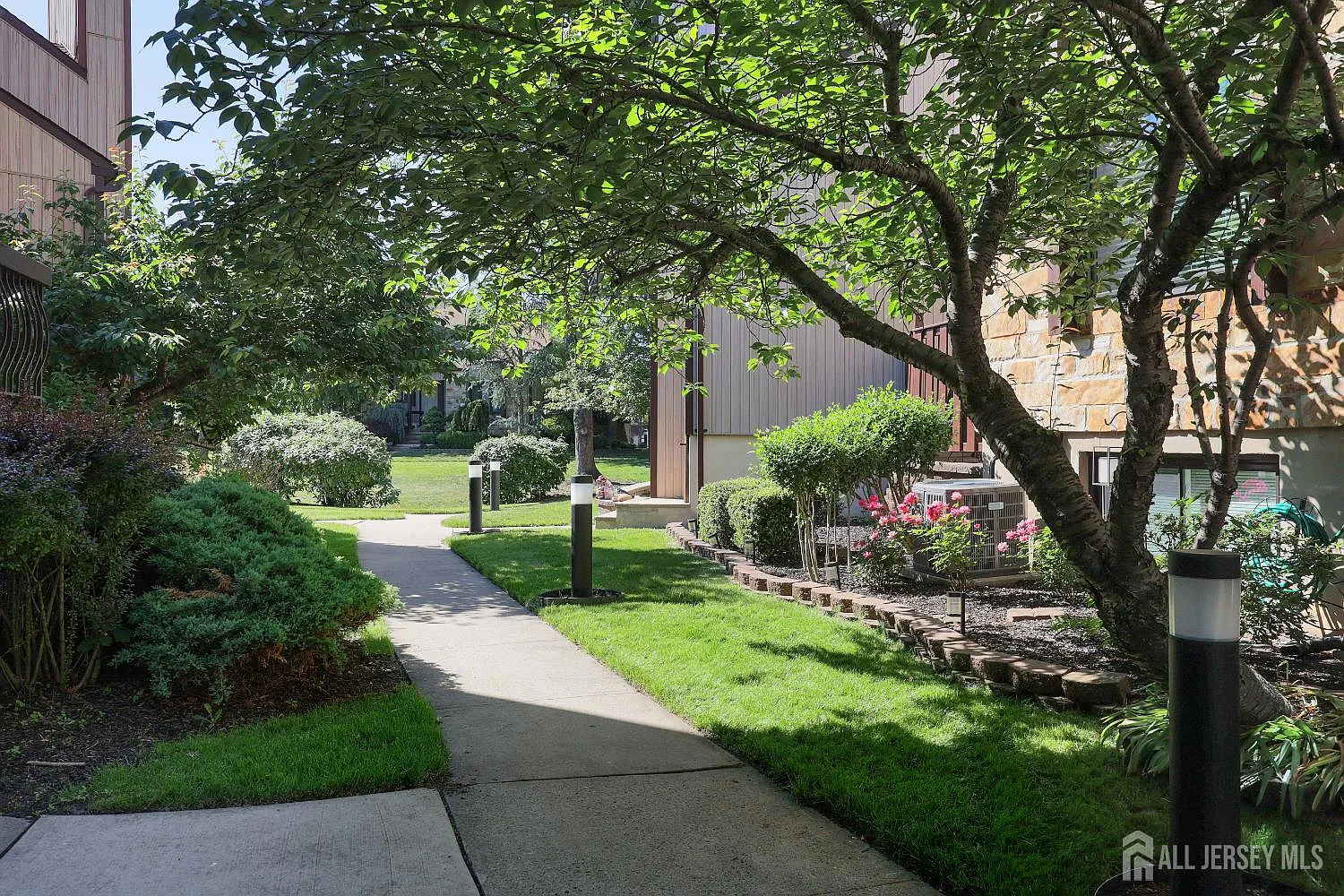 3 bed, 2.5 bath, $3,500 — Photo 4