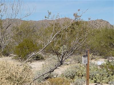 2nd image of 14152 N Giant Saguaro Pl
