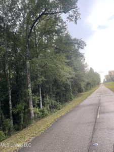 White Star Rd, Biloxi, MS, 39532
