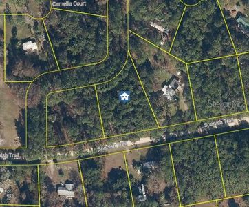 106 Spanish Trl LOT 9, Georgetown, FL, 32139
