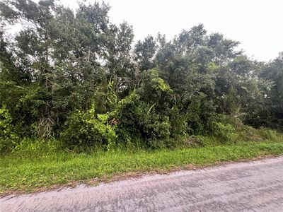 1452 NE Lee Dr, Arcadia, FL, 34266