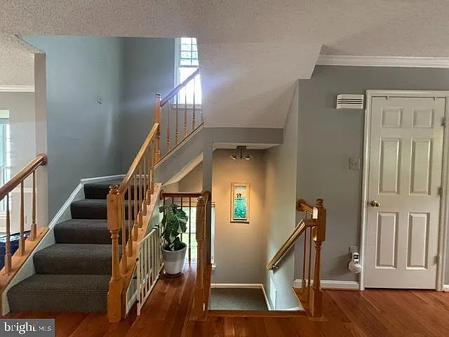 10148 Vanderbilt Cir — Photo 6