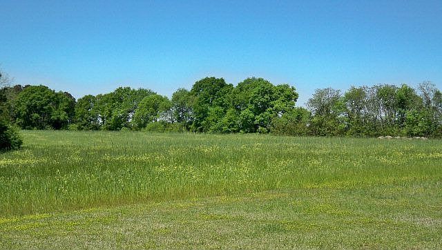 2nd image of 6211 State Highway 134 E