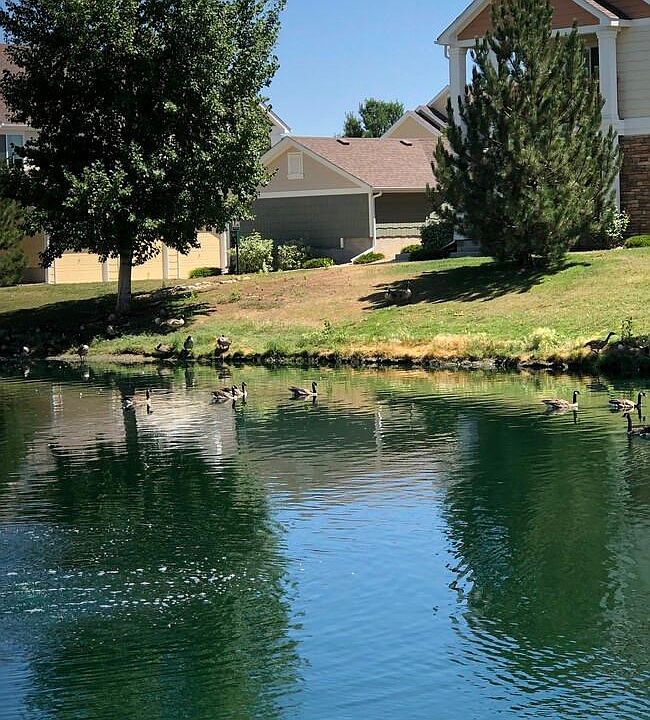 Community Lake