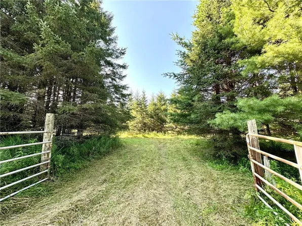 East 20 Acres West Poertner Road, Neillsville, WI 54456