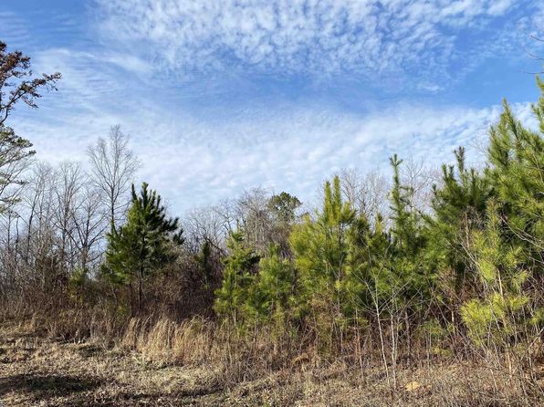 Center Hill Rd #0, Locust Fork, AL 35097