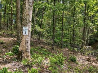 3 Turkey Spur Dr #3, Ellijay, GA 30540