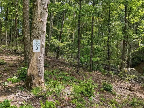 3 Turkey Spur Dr #3, Ellijay, GA 30540