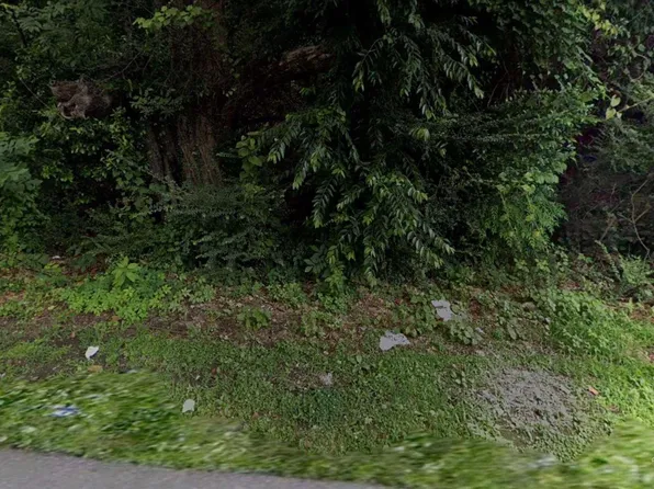 11470 Bladon Springs Ave, Wilmer, AL 36587