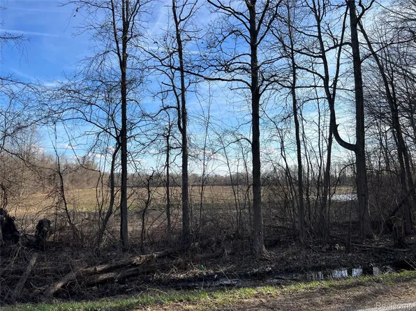 Vacant Land Vernor Rd, Lapeer, MI 48446