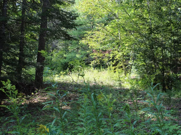 m62-2 Lt 3 Westcott Stream Road, Waldo, ME 04915