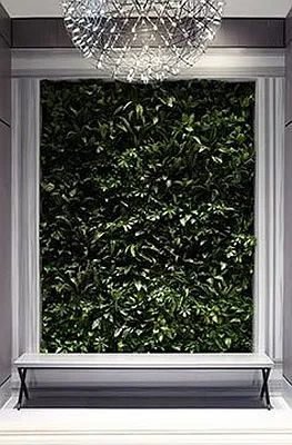 Rented by Dynamik Realty | media 12