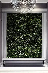 Rented by Dynamik Realty