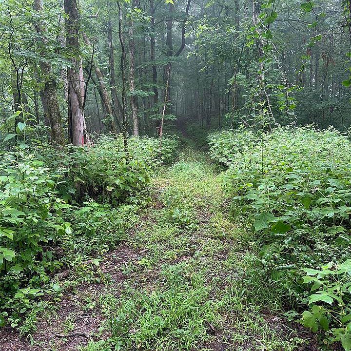 1st image of Ac Elbow Bend Rd