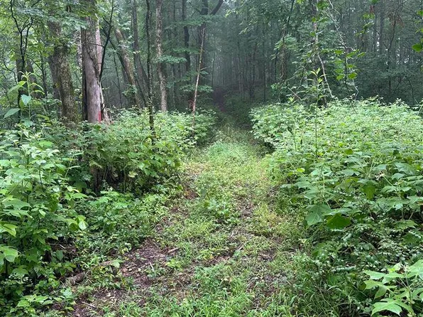 Ac Elbow Bend Rd, Tompkinsville, KY 42167