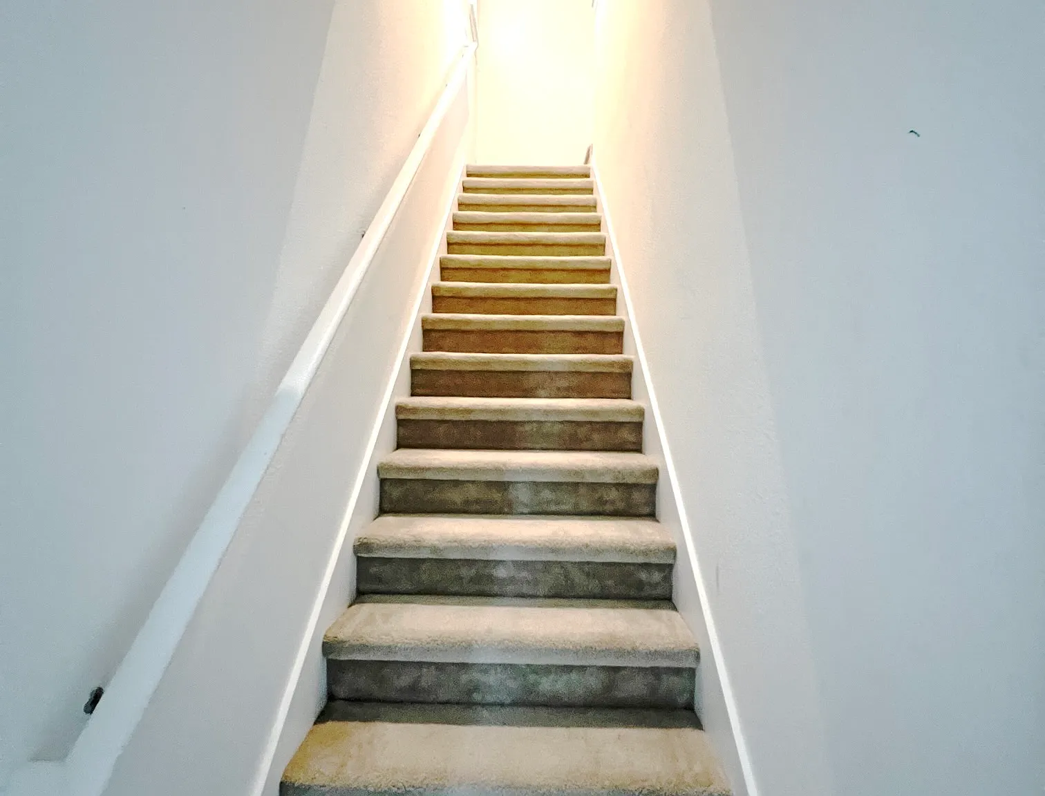 12645 Salomon Cove Drive - main - 12645... — Photo 2