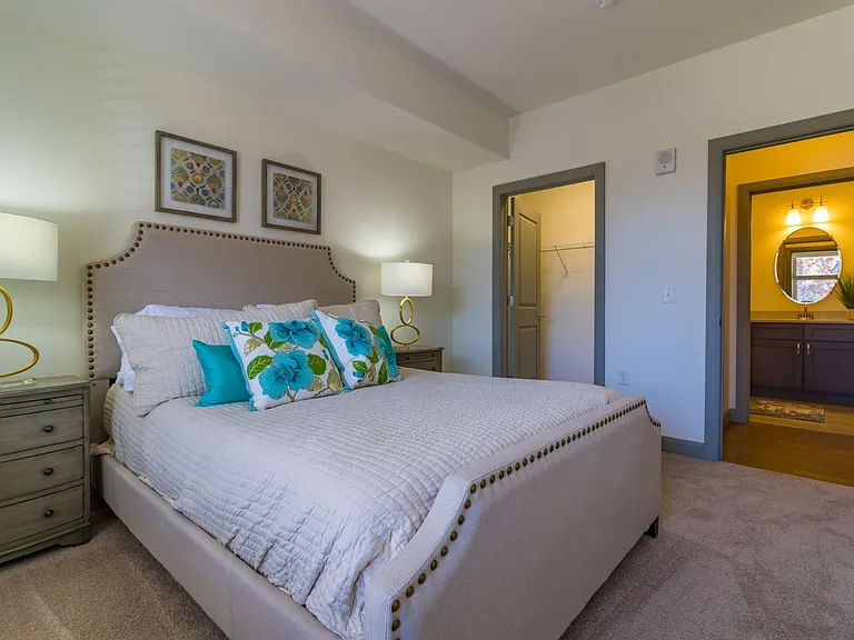 bedroom and walk-in closet