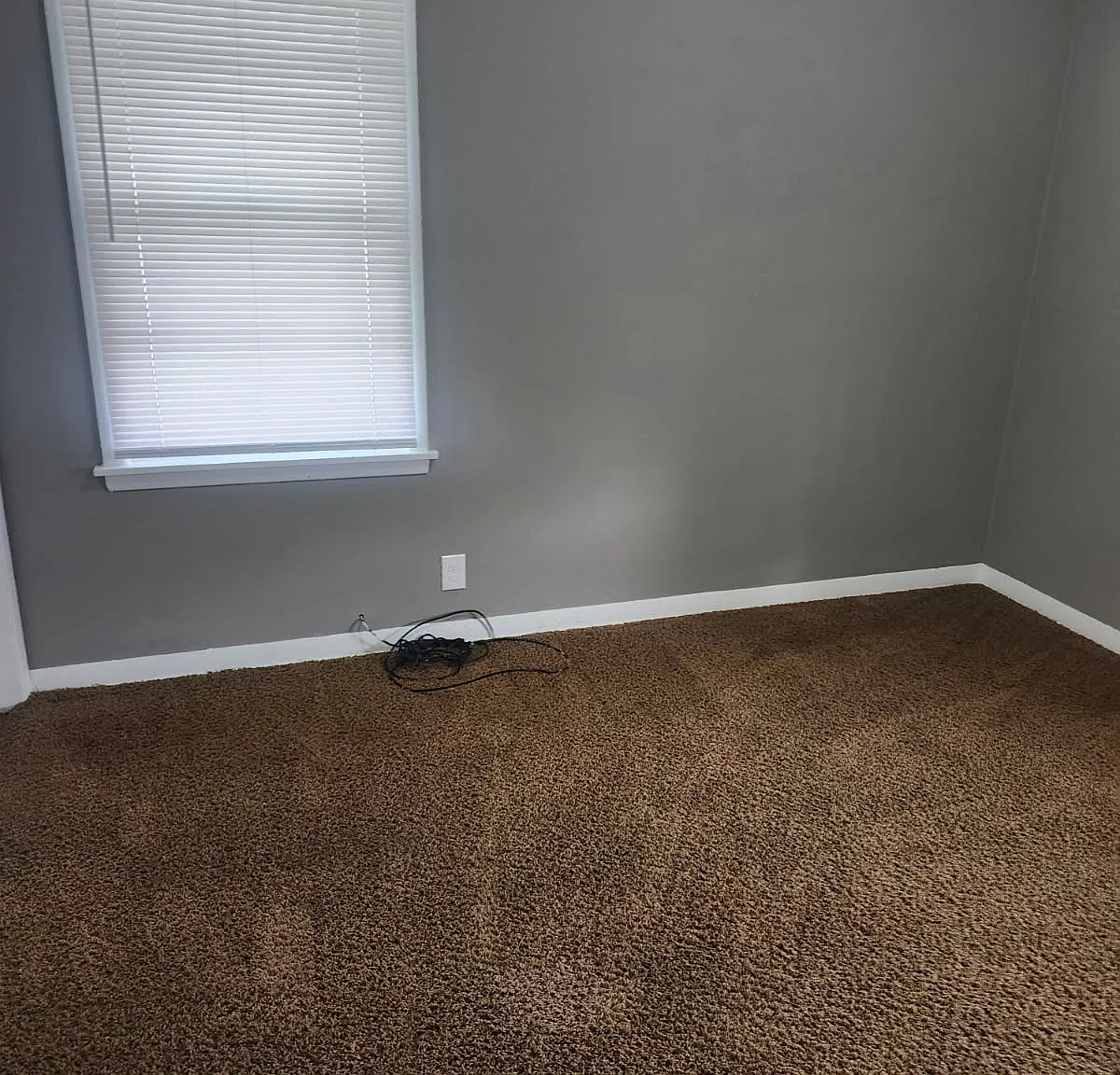 2 bed, 780 sqft, $800 — Photo 4