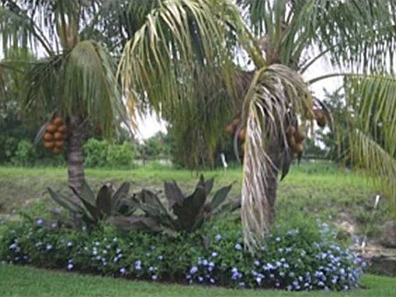 Home For Sale In Eastwood