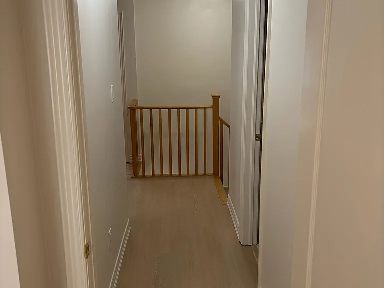 39 Palm Tree Rd — Photo 13