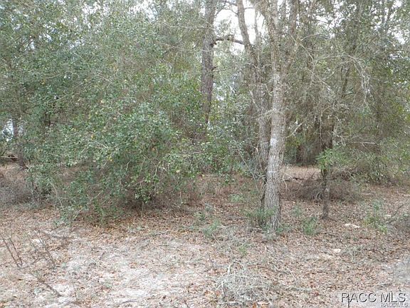 4th image of 6357 N Bluebonnet Dr