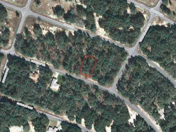 0 Fisher Way Trl #11, Ocklawaha, FL 32179