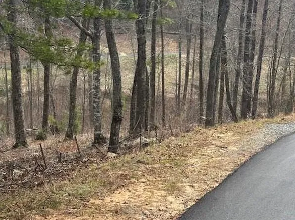 195 Trails End Rd, Mineral Bluff, GA 30559