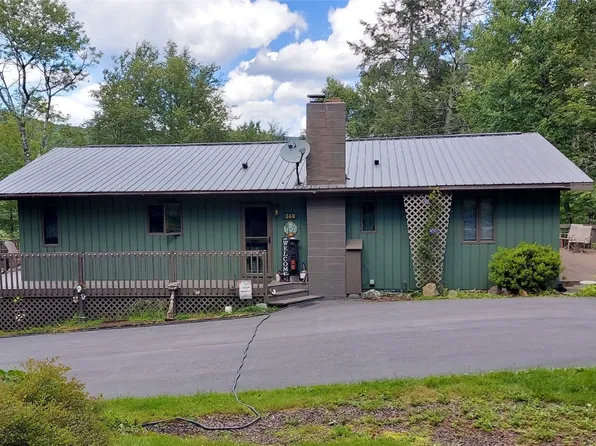 368 Mink Brook Rd, Downsville, NY 13755