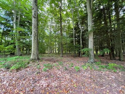 Forest Lake Dr, Big Rapids, MI, 49307
