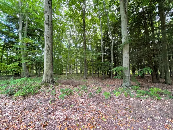 Forest Lake Dr, Big Rapids, MI 49307