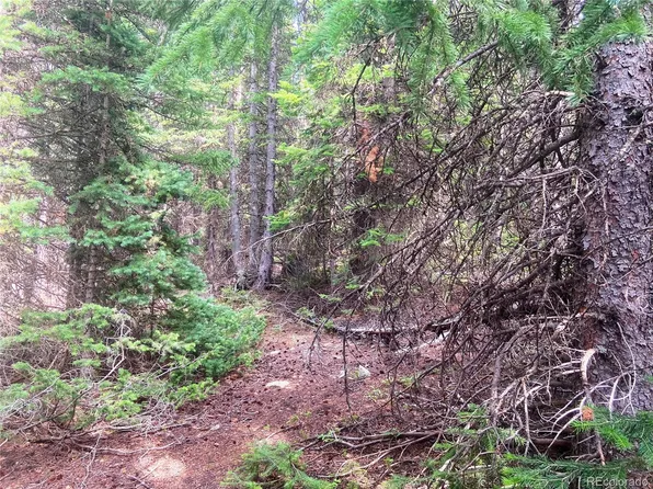 00 FS 413.1 LOT 20109, Black Hawk, CO 80422